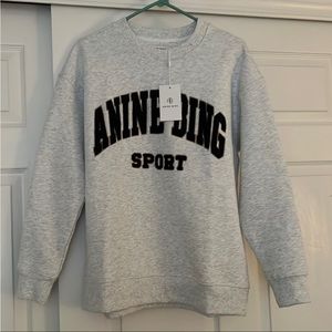 Anine bing sweatshirt